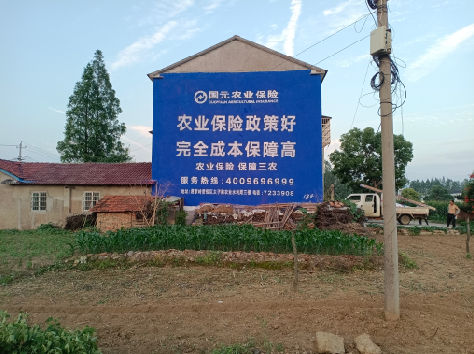 肥东墙体广告的优劣势你知道吗？